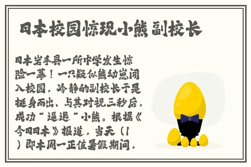 高清VPSWINDOWS的特点